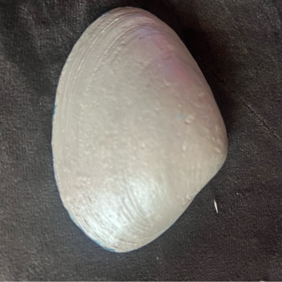 Hand-Painted Seashell Art with Beach Scene - Picture 2 of 3